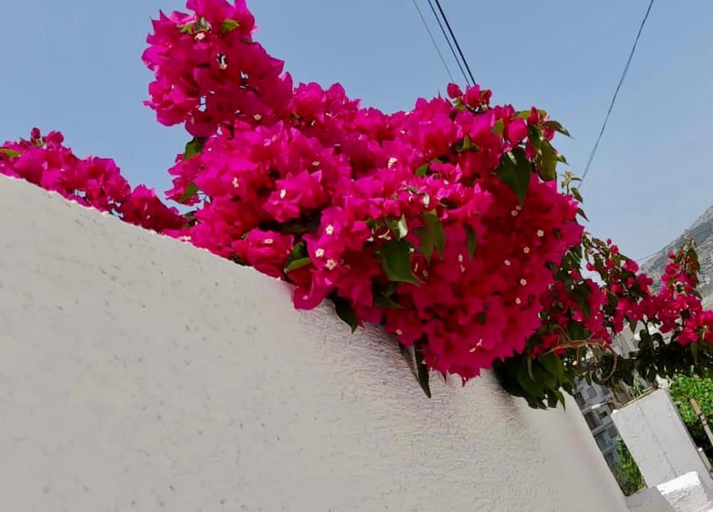 Niko Apartament Sarandë Exterior foto